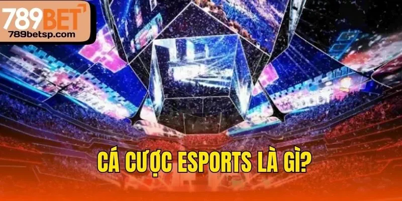 Cá cược esports là gì?