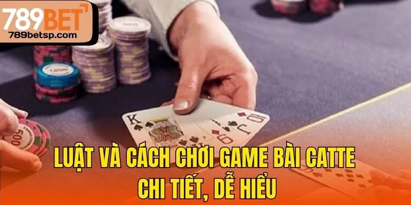 Luật và cách chơi game bài Catte chi tiết, dễ hiểu